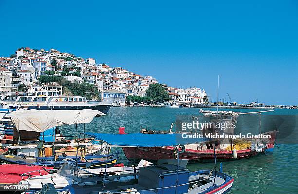 skopelos harbor - skopelos stock pictures, royalty-free photos & images