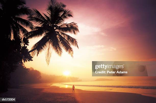 person walking at sunset on a tropical beach - general economy as central bank of sri lanka looks to contain rising inflation stockfoto's en -beelden