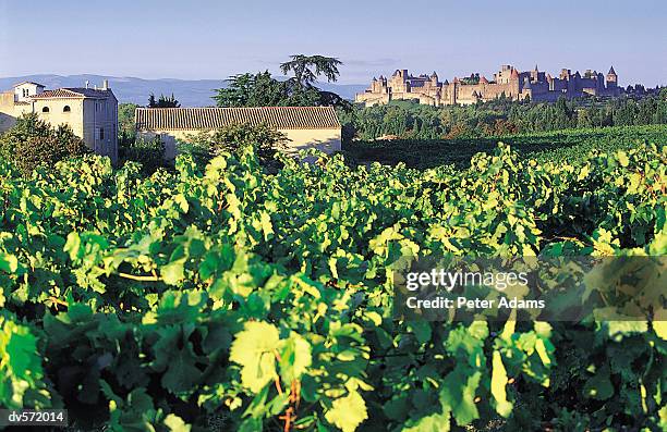 rural scene, france - aude stock pictures, royalty-free photos & images