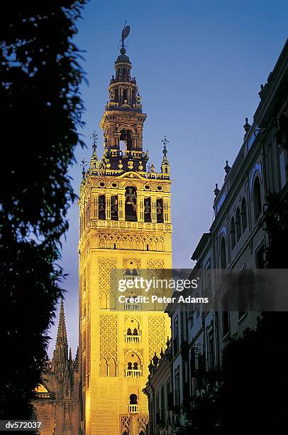 giralda, seville, spain - seville cathedral stock pictures, royalty-free photos & images