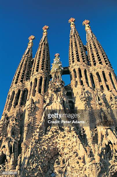 high section and close-up of the sagraga familia, barcelona, spain - familia stock pictures, royalty-free photos & images