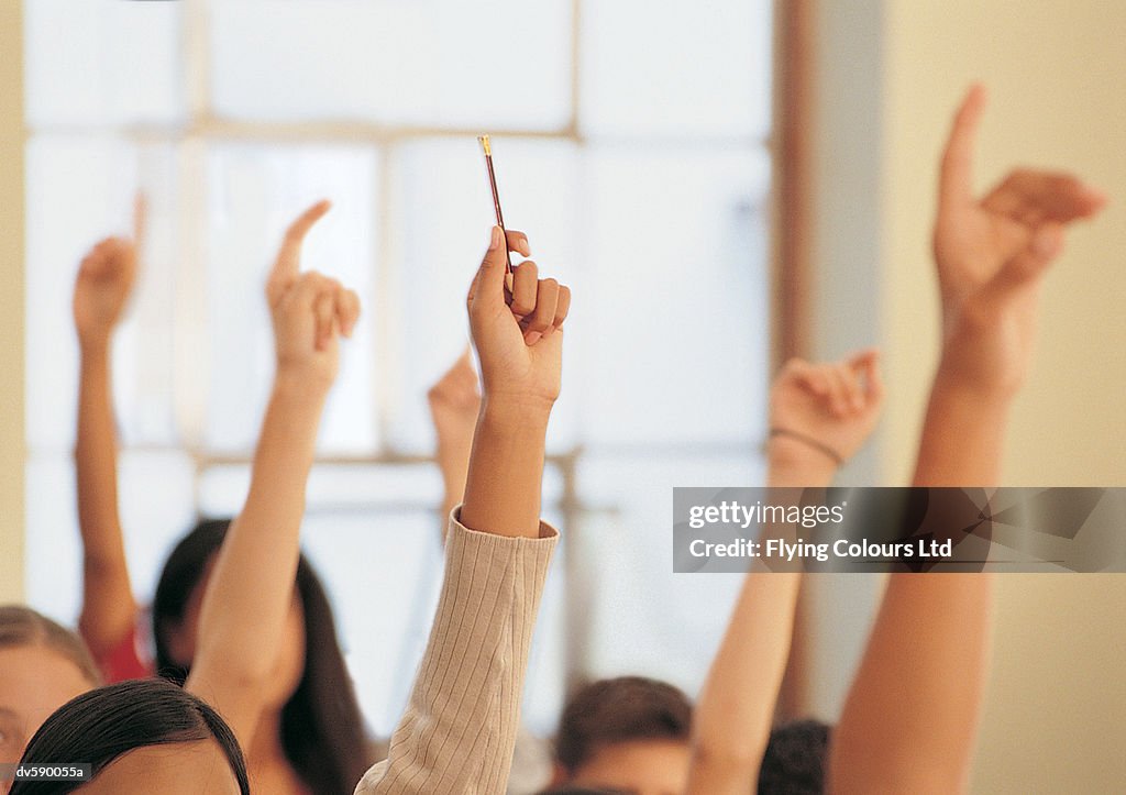Students Raising Their Hands in a Classroom