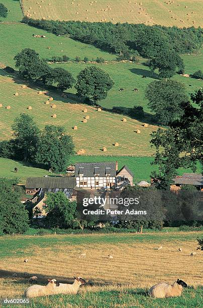 shropshire, england, uk - paysage agricole photos et images de collection