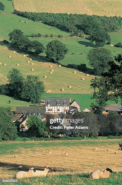 shropshire, england, uk - peter adams stock pictures, royalty-free photos & images