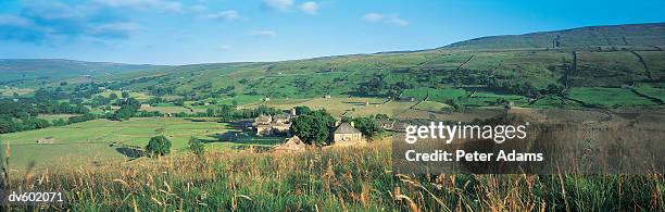 swaledale, yorkshire, england, uk - peter adams imagens e fotografias de stock