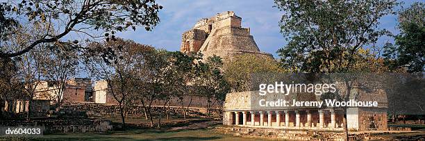 piramide del alvino and juego de pelota, uxmal, yucatan, mexico - yucatan stock-fotos und bilder