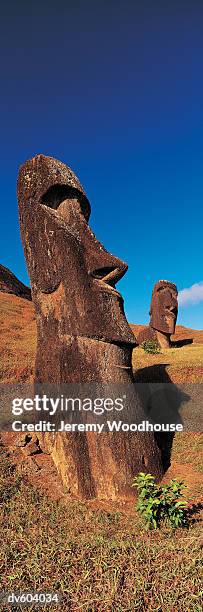 moai at rano raraku, easter island (rapa nui), chile - rano raraku stock pictures, royalty-free photos & images