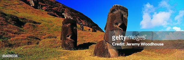 moai at rano raraku, easter island (rapa nui), chile - rano raraku stock-fotos und bilder