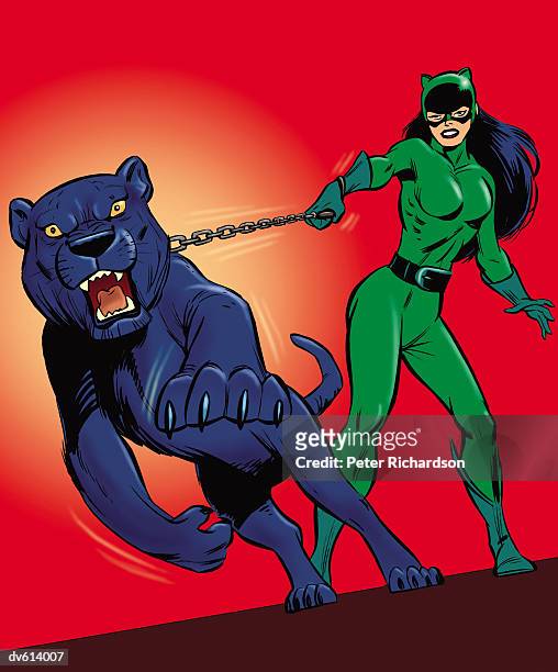villainess with aggressive panther - richardson stock illustrations
