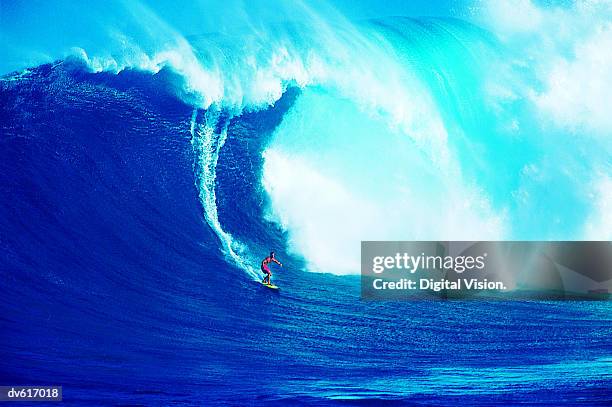 man surfing - large - fotografias e filmes do acervo