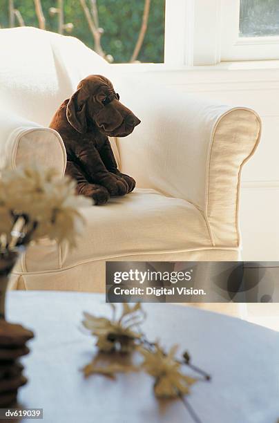 stuffed animal in armchair - leksakshund bildbanksfoton och bilder