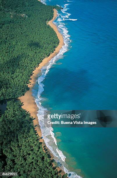 caribbean coastline - greater antilles foto e immagini stock
