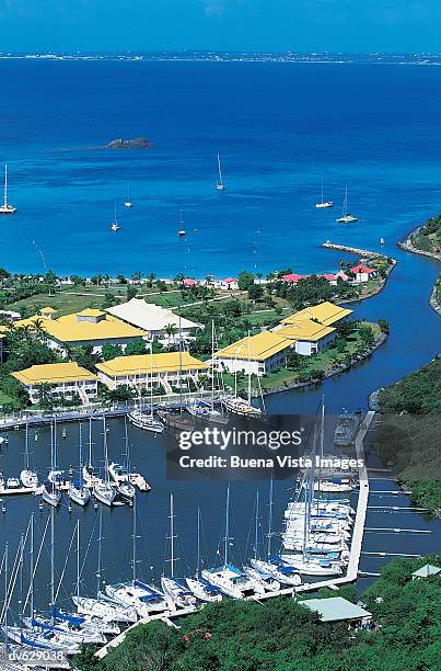 anse marcel, st martin, caribbean - buena vista stock pictures, royalty-free photos & images