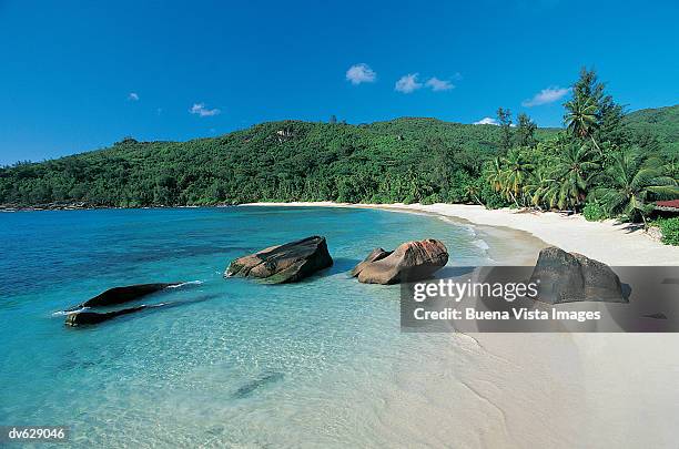 takamaka beach, mahe island, seychelles, indian ocean - buena vista stock pictures, royalty-free photos & images