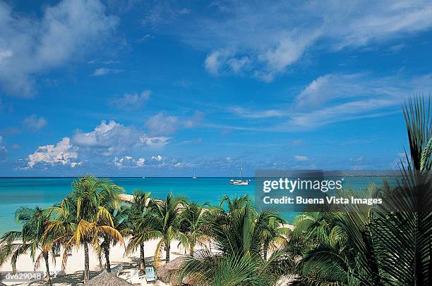 aruba, west indies - buena vista stock pictures, royalty-free photos & images