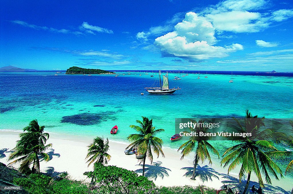 Grenadine, Tobago, West Indies