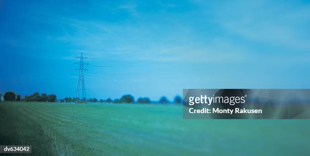 electricity pylon in a field - monty rakusen stock-fotos und bilder