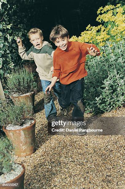 two boys running through a garden - daniel stock pictures, royalty-free photos & images