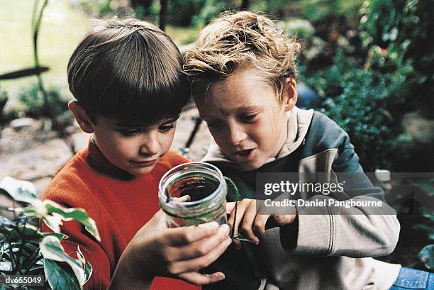 boy showing a friend a sample in a glass jar - daniel fotografías e imágenes de stock