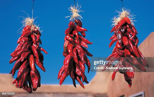 hanging chillies, new mexico, usa - hanging chili peppers stock pictures, royalty-free photos & images