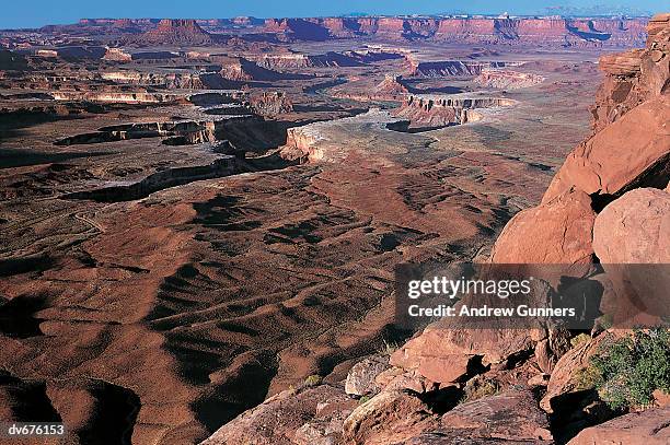 green river, canyonlands national park, utah, usa - green park stock pictures, royalty-free photos & images