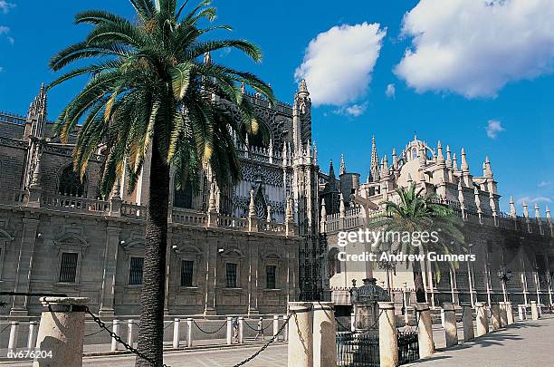 cathedral, seville, spain - seville cathedral stock pictures, royalty-free photos & images