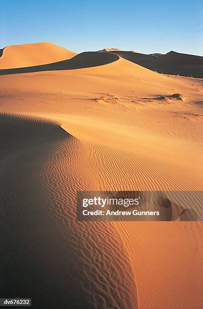 erg chech desert, sahara, algeria - sahara stock pictures, royalty-free photos & images