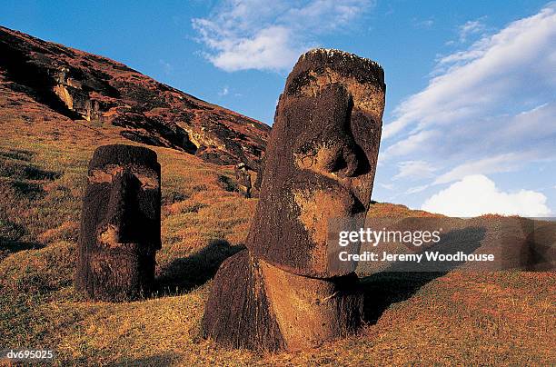 moai at rano raraku, easter island (rapa nui), chile - rano raraku stock-fotos und bilder