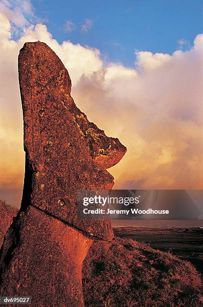 moai at rano raraku, easter island (rapa nui), chile - rano raraku stock-fotos und bilder