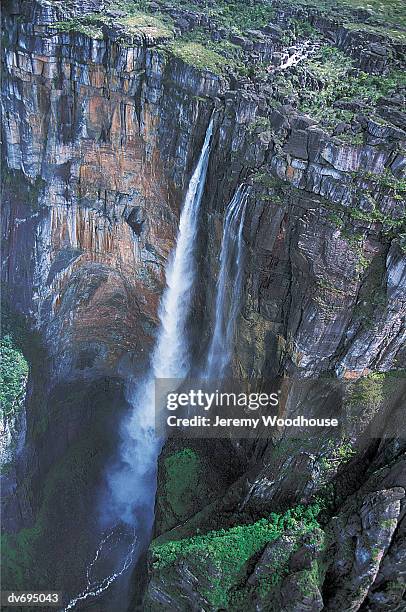 angel falls, canaima national park, venezuela - angel falls stock pictures, royalty-free photos & images