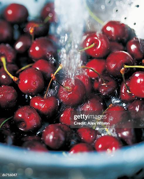 sieve of cherries under running water - wilson stock-fotos und bilder