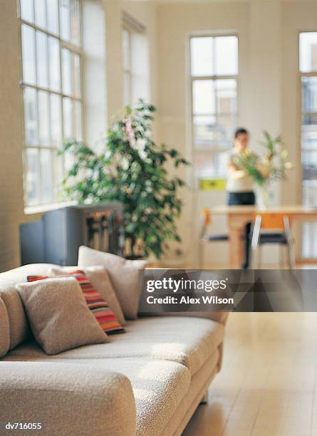 sofa with a woman arranging flowers in the background - wilson stock-fotos und bilder