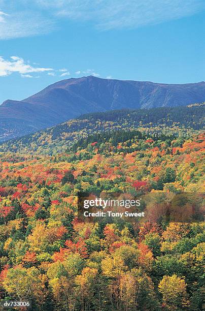 white mountain, new hampshire, usa - white mountain nationalforst stock-fotos und bilder