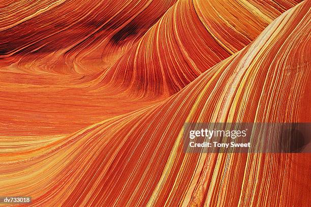 coyote buttes, colorado plateau, arizona, usa - colorado plateau stock pictures, royalty-free photos & images
