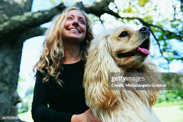 woman in the park with her cavalier king charles spaniel - cavalier stock pictures, royalty-free photos & images