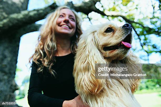 woman in the park with her cavalier king charles spaniel - under tongue 個照片及圖片檔