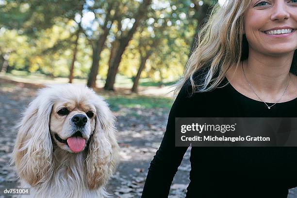 portrait of a woman with her cavalier king charles spaniel in a wood - cavalier king charles spaniel 個照片及圖片檔