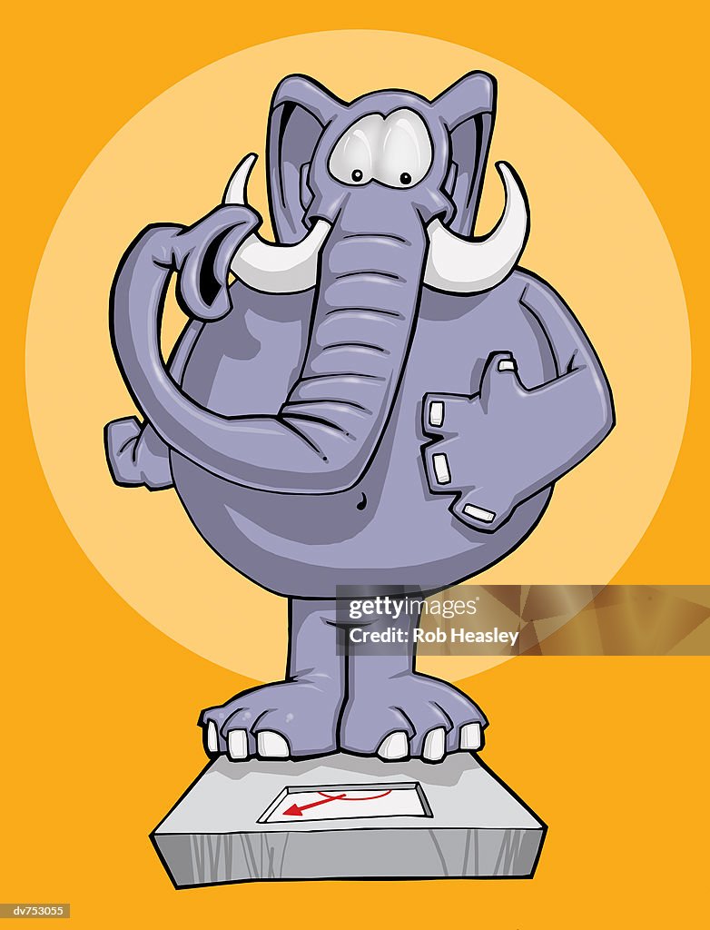 Elephant Standing On A Pair Of Scales High-Res Vector Graphic - Getty Images