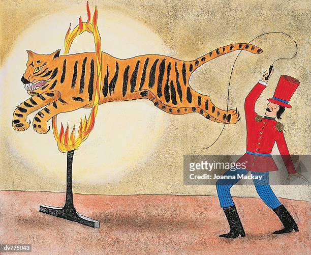 circus performer controlling a tiger as it jumps through a ring of fire - fire performer stock illustrations