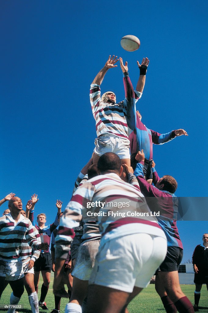 Rugby Union Players in a Lineout