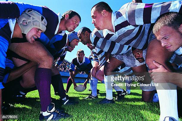 rugby union players in a scrum - scrum 個照片及圖片檔