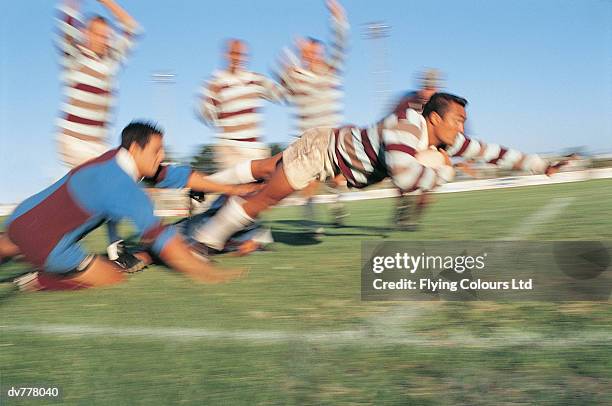 rugby union player scoring for his team - province du cap photos et images de collection