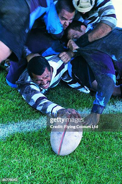 rugby union player scoring under a pile of players - scrum stock-fotos und bilder