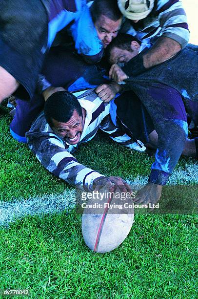 rugby union player scoring under a pile of players - try scoring stock pictures, royalty-free photos & images
