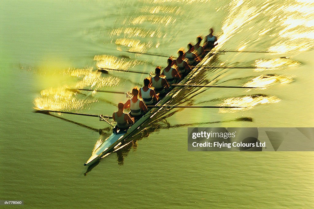 Elevated View of Men Sculling on a River