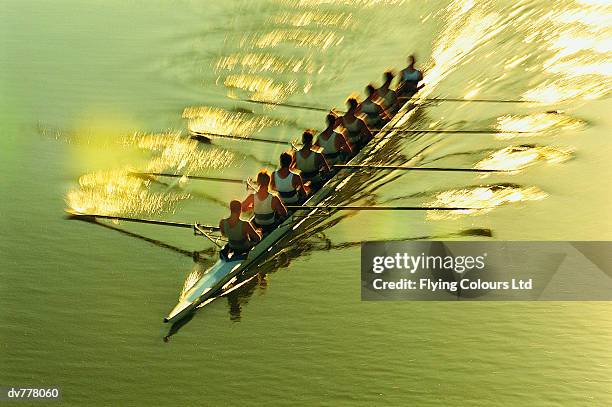 elevated view of men sculling on a river - coxswain stock pictures, royalty-free photos & images