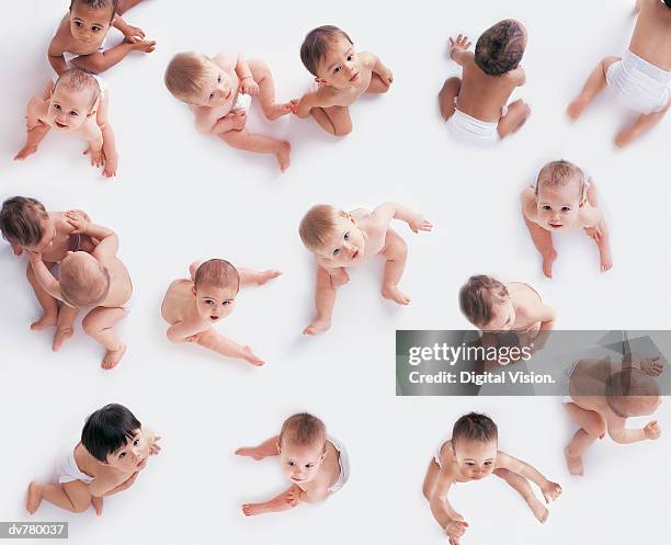 portrait of a large group of babies looking upwards - sólo bebés fotografías e imágenes de stock