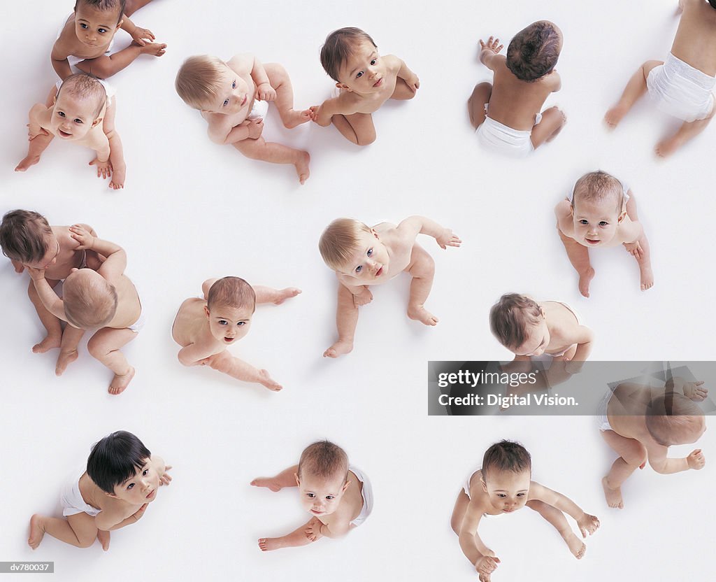 Portrait of a Large Group of Babies Looking Upwards