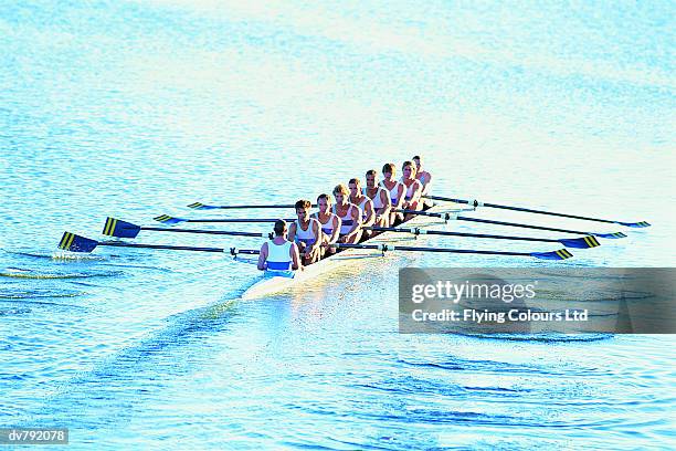 rowing team - remo de punta fotografías e imágenes de stock