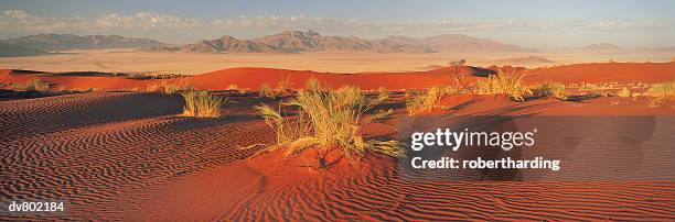 namib naukluft park, namibia, africa - namib foto e immagini stock